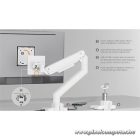 Equip Monitor Asztali konzol - 650181 (17"-49", 1 monitor, dönthető, forgatható, Max.: 20kg, fehér)