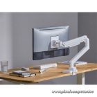 Equip Monitor Asztali konzol - 650181 (17"-49", 1 monitor, dönthető, forgatható, Max.: 20kg, fehér)