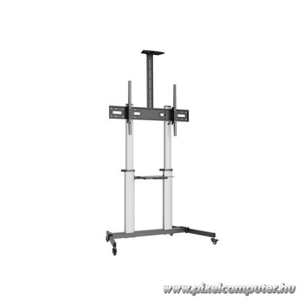 Equip TV állvány - 650631 (60"-100" álló, dönthető, állítható magasság, gurulós, Max.:100kg, fekete/ezüst)