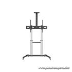 Equip TV állvány - 650631 (60"-100" álló, dönthető, állítható magasság, gurulós, Max.:100kg, fekete/ezüst)