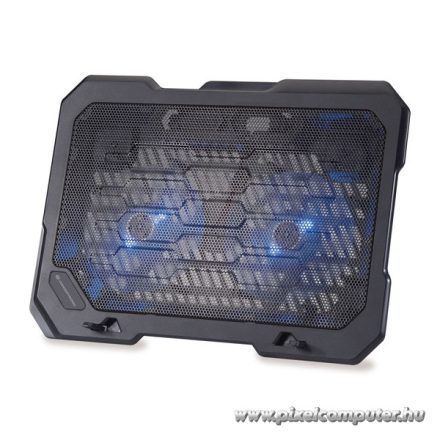 Conceptronic Notebook Hűtőpad 15,6"-ig - THANA01B (USB, 2x12,5cm, állítható magasság, csúszásmentes, fekete)