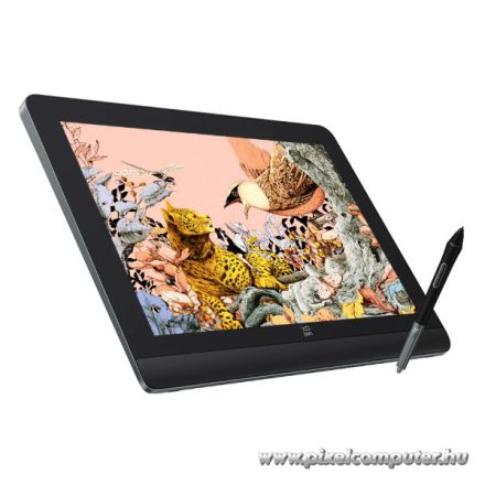 XP-PEN Grafikus kijelző - Artist Pro 16 (Gen 2) (16", IPS, 2560x1600, 5080 LPI, PS 16384, 200 RPS)