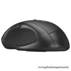 Everest Vezeték nélküli Egér - SM-32BT (Bluetooth, 1600 DPI, 6 gomb, optikai, fekete, RGB LED)