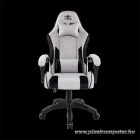 Spirit of Gamer szék - ARENA Light Grey