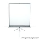 EliteScreens 71" (1:1) mobil háromlábú vászon  T71NWS1 (127 x 127 cm, Fehér)