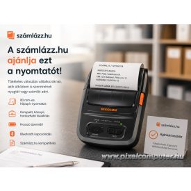 Bixolon SPP-R310 hőpapíros nyomtató E-nyugtához is