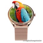 Smartwatch TITMO O-170 (AMOLED, bluetooth call, stainless steal gold mesh strap) gold