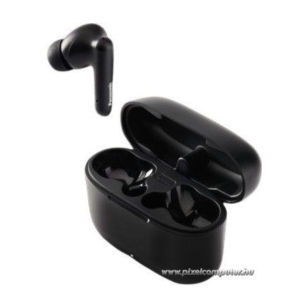Wireless earphones TWS PANASONIC RZ-B110WDE-K black