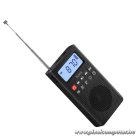 Portable radio Hoco HI51 black