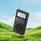 Portable radio Hoco HI51 black
