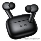 Wireless earphones Hoco TWS EQ30 black