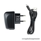 Phone charger Blue Star Lite USB A 2A 10W + cable USB A to USB C TFK-TC-1095B black