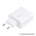 Phone charger Forcell F-Energy USB C QC4.0 PD 3A 45W TFK-TC-45WPD white