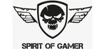 Spirit Of Gamer