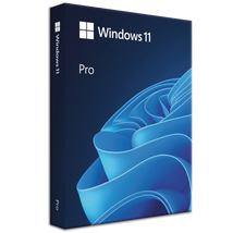 Windows 11 Professional - Digitális Licence