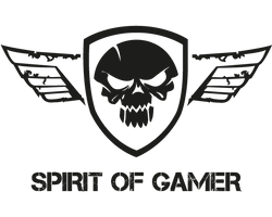 Spirit of gamer